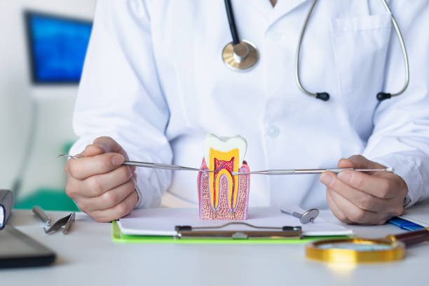 Best Emergency Tooth Extraction in Vonore, TN